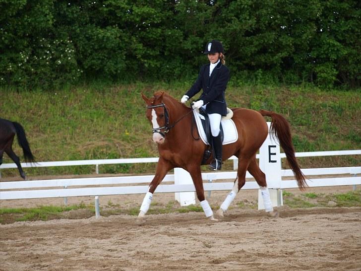 Algestrup rideklub stævne :) billede 119