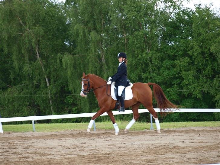 Algestrup rideklub stævne :) billede 120