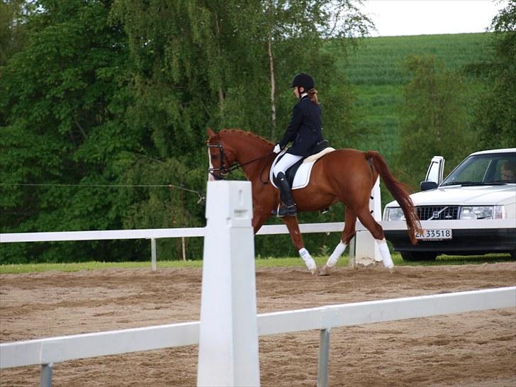 Algestrup rideklub stævne :) billede 121