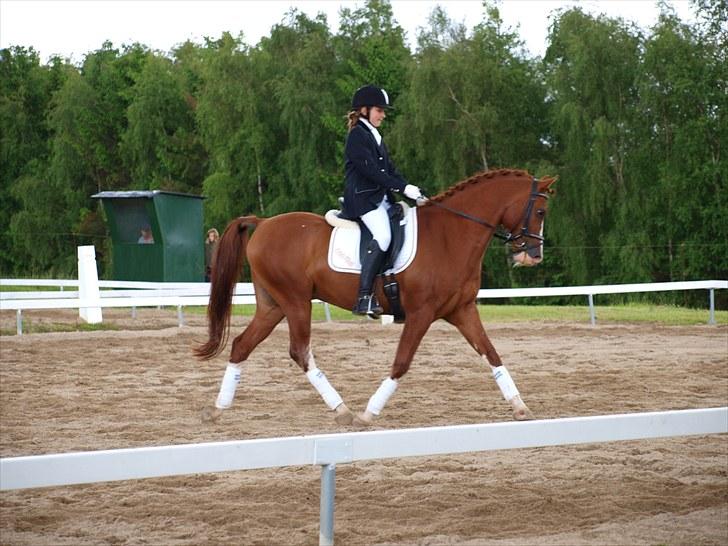 Algestrup rideklub stævne :) billede 122