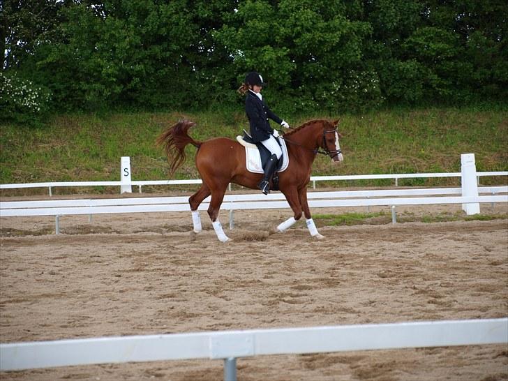 Algestrup rideklub stævne :) billede 123