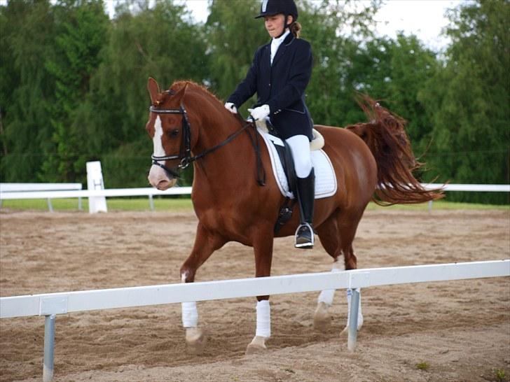 Algestrup rideklub stævne :) billede 124