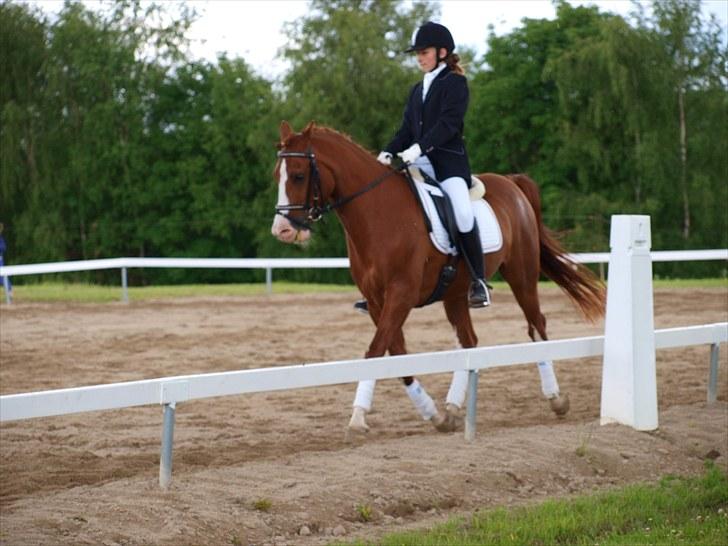 Algestrup rideklub stævne :) billede 125