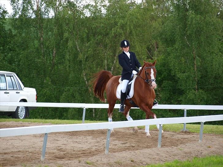 Algestrup rideklub stævne :) billede 126