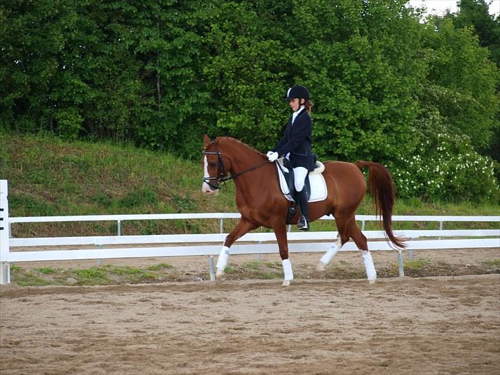 Algestrup rideklub stævne :) billede 127