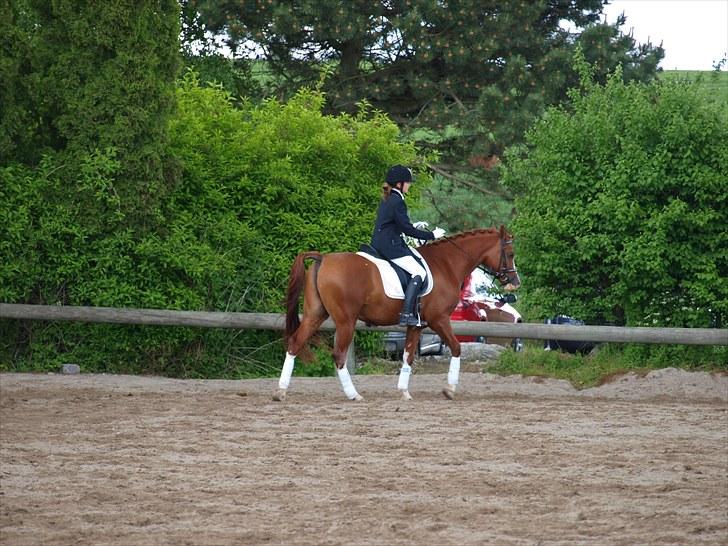 Algestrup rideklub stævne :) billede 128