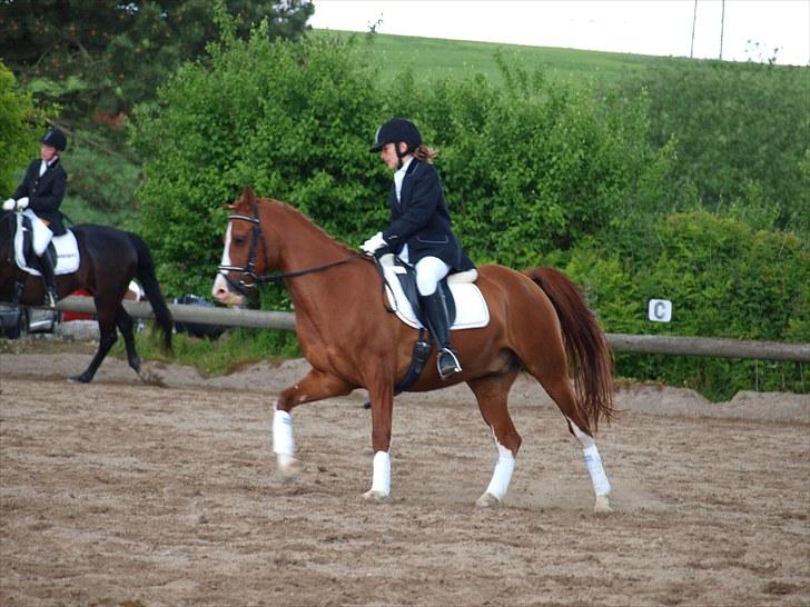 Algestrup rideklub stævne :) billede 129