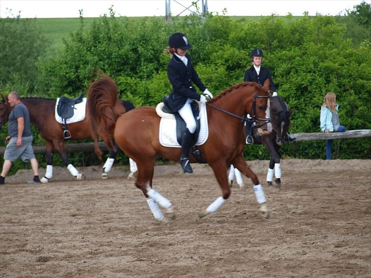 Algestrup rideklub stævne :) billede 130
