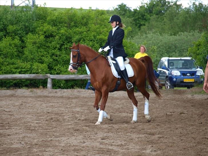 Algestrup rideklub stævne :) billede 132