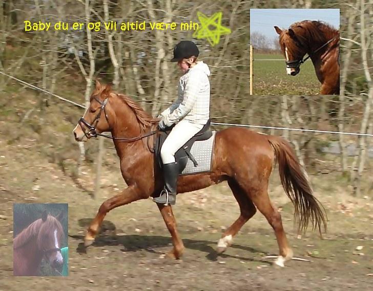 Billeder jeg har lavet  - Til Sine N 
Og det er kun hende der må tage billedet billede 1