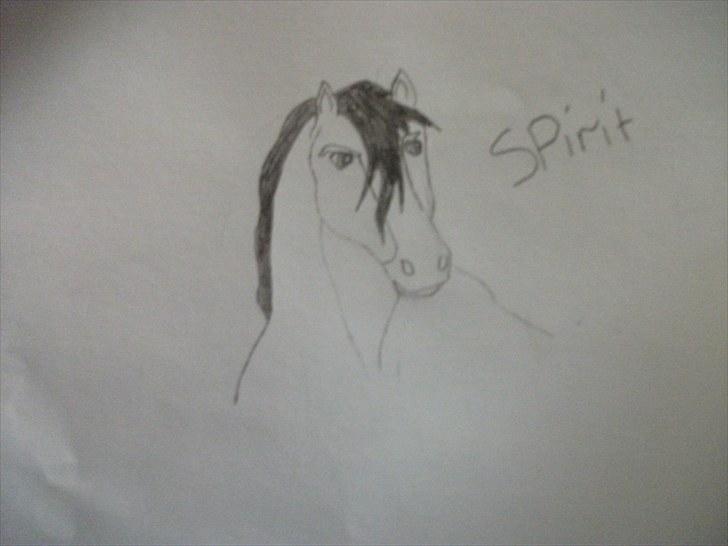 Mine tegninger af Spirit læg gerne en kommentar - Spirit billede 1