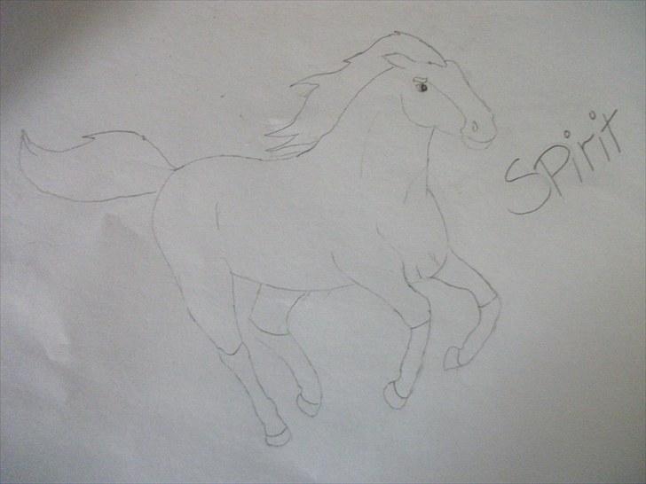 Mine tegninger af Spirit læg gerne en kommentar - Spirit billede 2