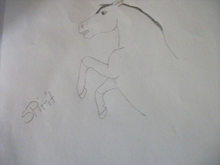 Mine tegninger af Spirit læg gerne en kommentar - Spirit billede 3