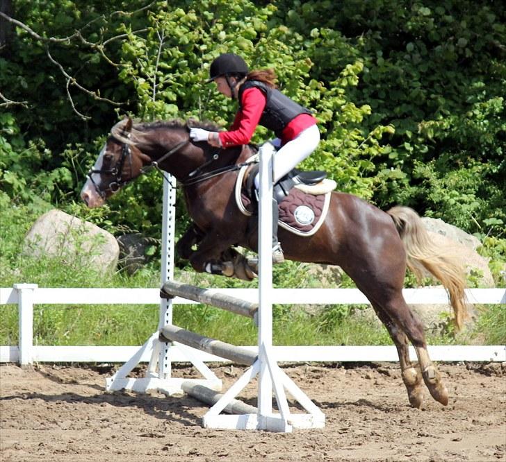 Nudzy & Sabrina Primgaard Hansen billede 3