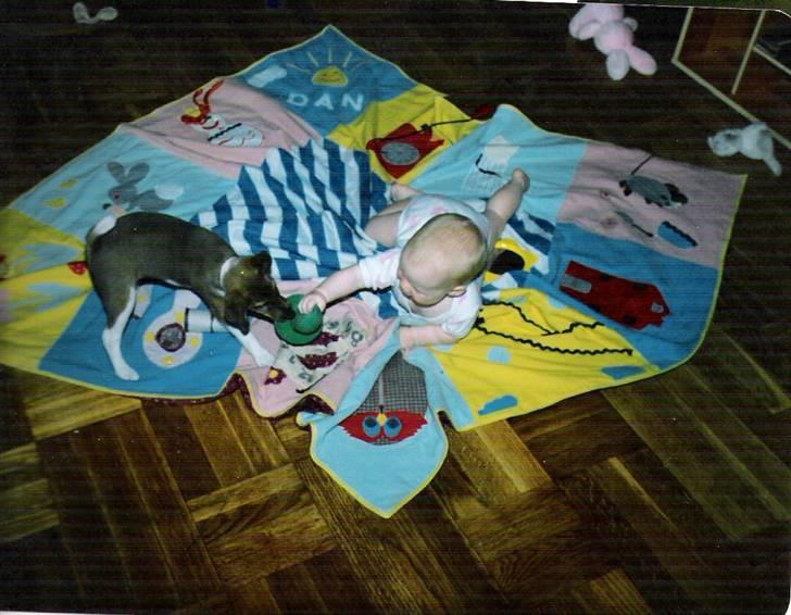 Mine hunden Baloo og Bjørn. min død hund Sussi - Mig og Sussi sådan kune vi lege i flere timer billede 2