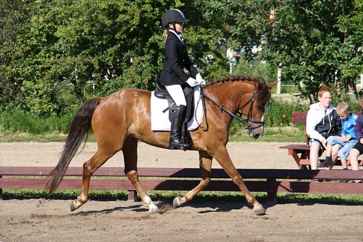 Brønderslev rideklub d. 26 Juni 2010 billede 4