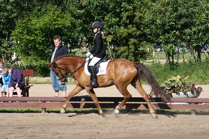 Brønderslev rideklub d. 26 Juni 2010 billede 8