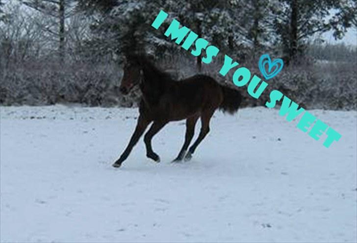 Billeder jeg har lavet  - Til Sine N 
Og det er kun hende der må tage billedet billede 3