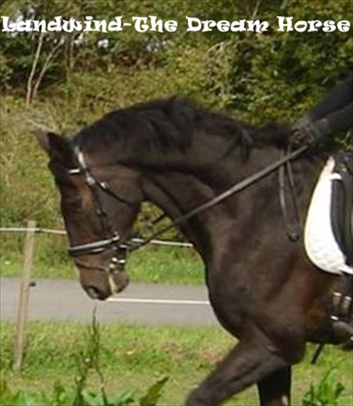 Billeder jeg har lavet  - Til Sine N 
Og det er kun hende der må tage billedet billede 4