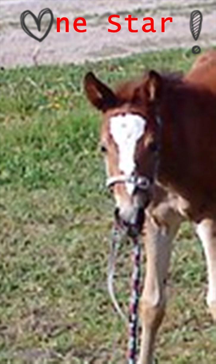 Billeder jeg har lavet  - Til Sine N 
Og det er kun hende der må tage billedet billede 5