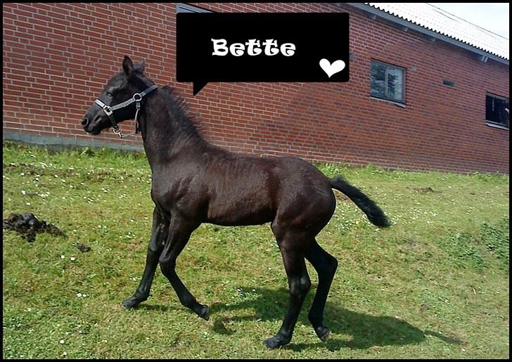 Billeder jeg har lavet  - Til Sine N 
Og det er kun hende der må tage billedet billede 6