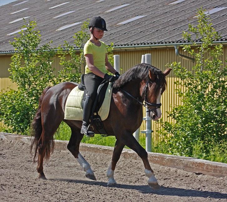 Træning med Peter billede 8