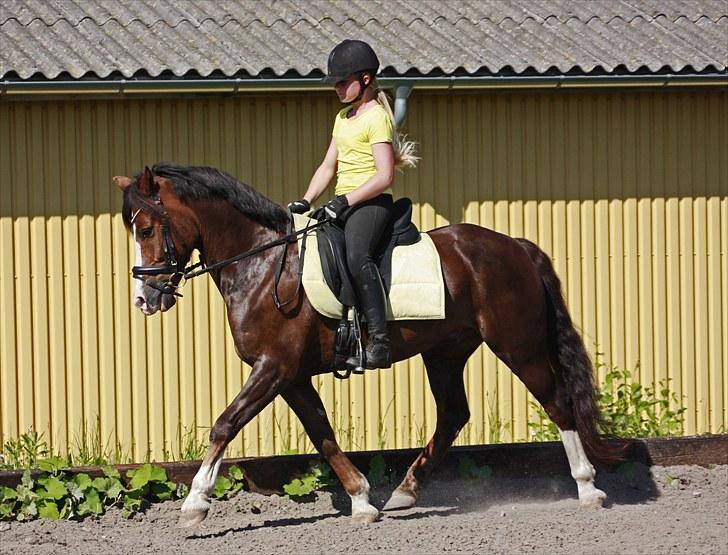 Træning med Peter billede 10