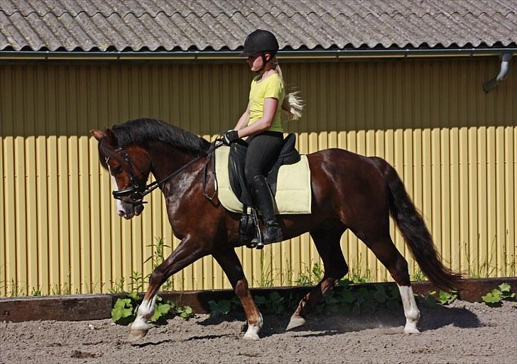 Træning med Peter billede 13