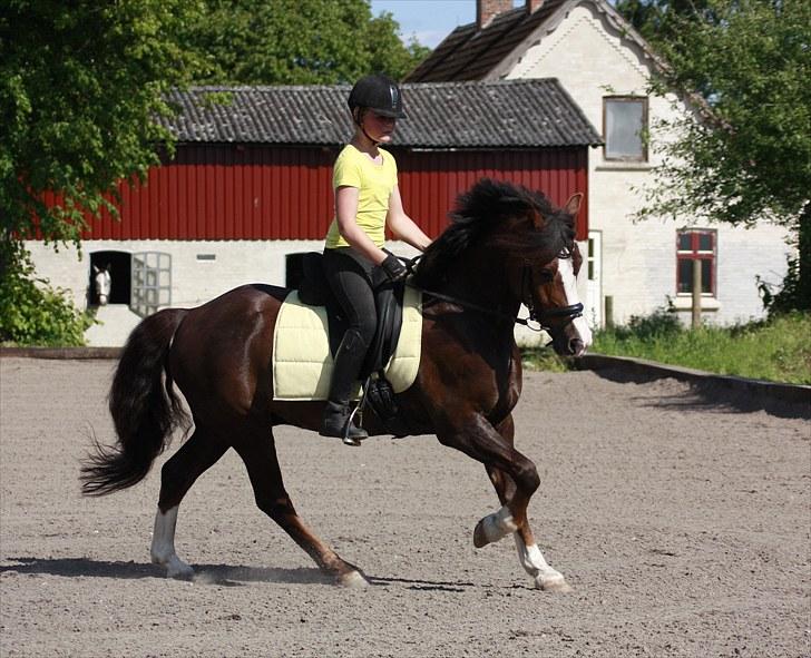 Træning med Peter billede 19