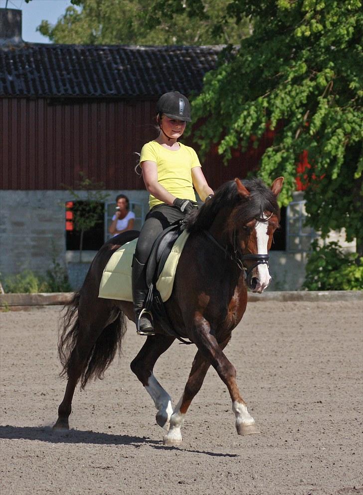 Træning med Peter billede 20