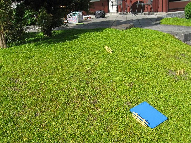 DM for Schleich heste. - Terræn-banen billede 7