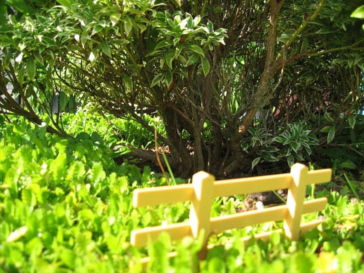 DM for Schleich heste. - Springet før springet i skoven billede 8