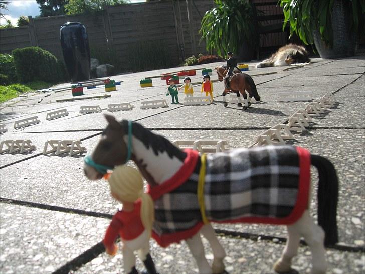 DM for Schleich heste. - Flere luftede hestene dagen før stævnet billede 12