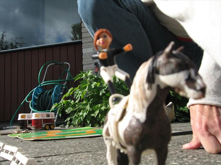 DM for Schleich heste. - En lavede endda voltigering på sin hest billede 13