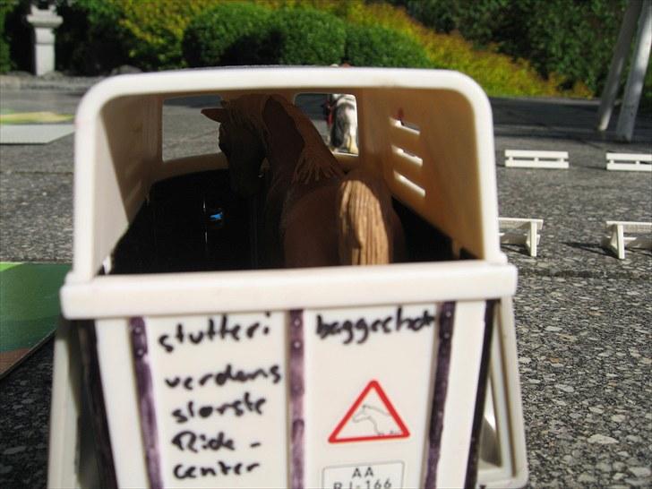 DM for Schleich heste. - Flere ankom lørdag aften billede 16