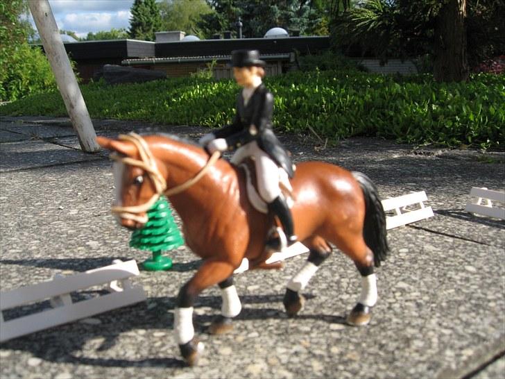 DM for Schleich heste. - Rytter vænede sin hest til stedet billede 17