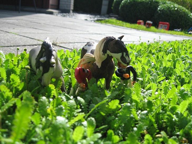 DM for Schleich heste. - Hyggeligt! billede 22