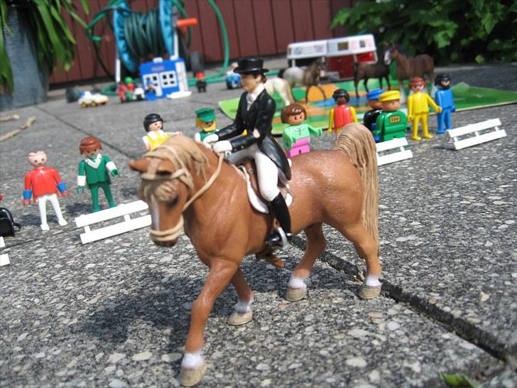 DM for Schleich heste. - Vi starter med Dressur: første rytter var Anika Nielsen på hesten Surprise DiFir' fra stutteri Skovvang.
Hun fik 311 point ud af 500. flot billede 27