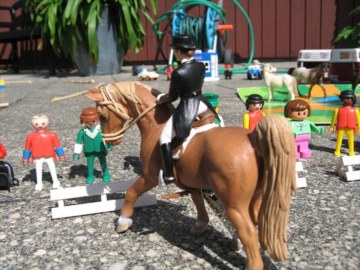 DM for Schleich heste. billede 28