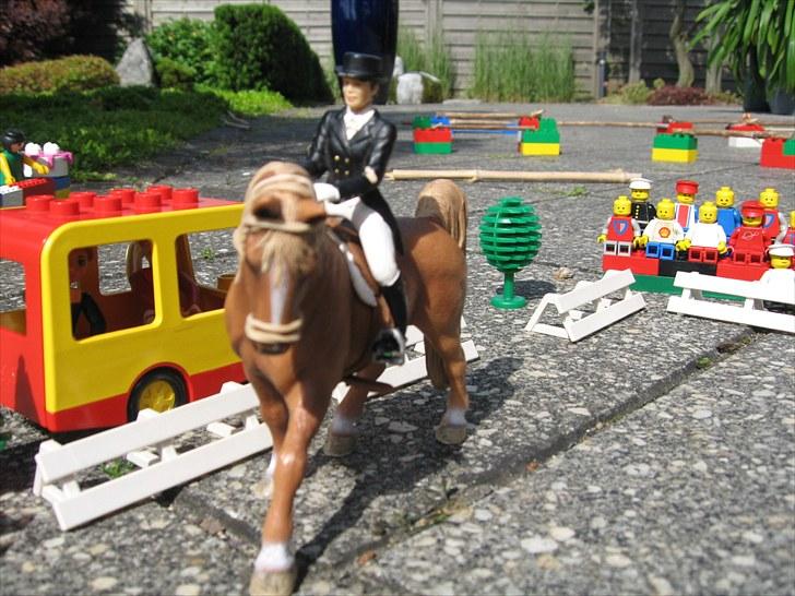 DM for Schleich heste. billede 29