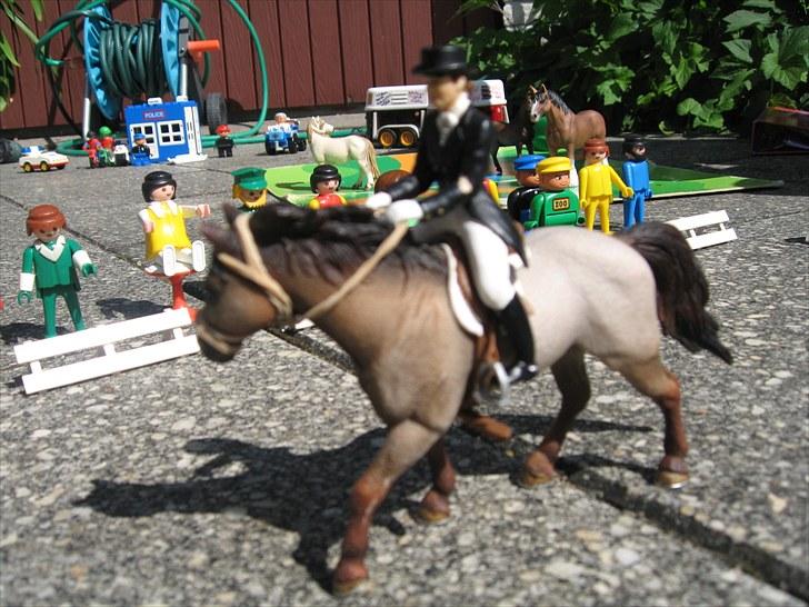 DM for Schleich heste. - Anden rytter var Camille Østergaard på hesten Sjeltaray Like Noir fra Stutteri Skovvang. 
De fik 399 point ud af 500. flot billede 30