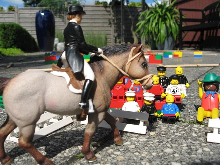 DM for Schleich heste. billede 32