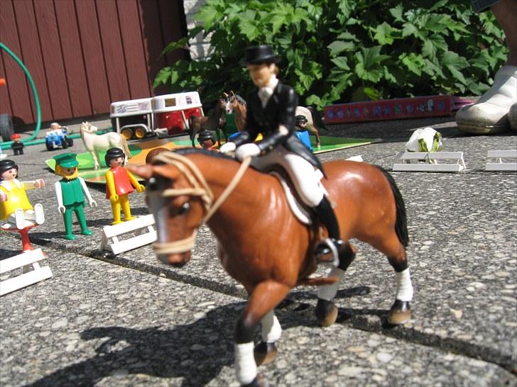 DM for Schleich heste. - Tredje rytter var AniJosefine Svendsen på hesten Skovvangs Palanitra fra stutteri Skovvang.
De fik 422 point ud af 500.
Dermed vandt de klassen. billede 33