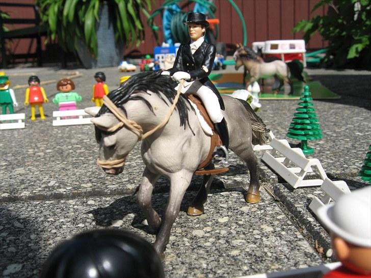 DM for Schleich heste. billede 37