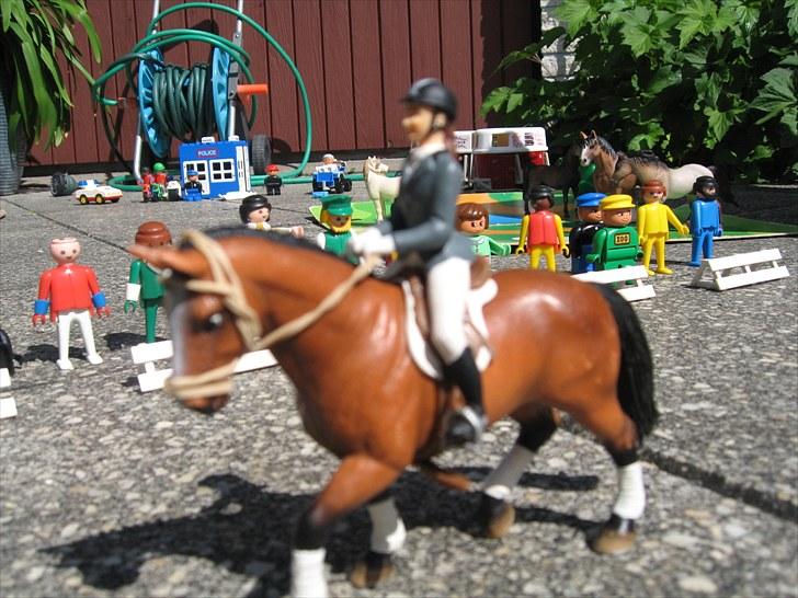 DM for Schleich heste. - Femte rytter var Mette på Borchhøj's Melissa fra stutteri  Borchhøj.
De fik 414 point  ud af 500 som blev til en tredje plads. billede 39