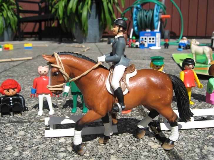 DM for Schleich heste. billede 40