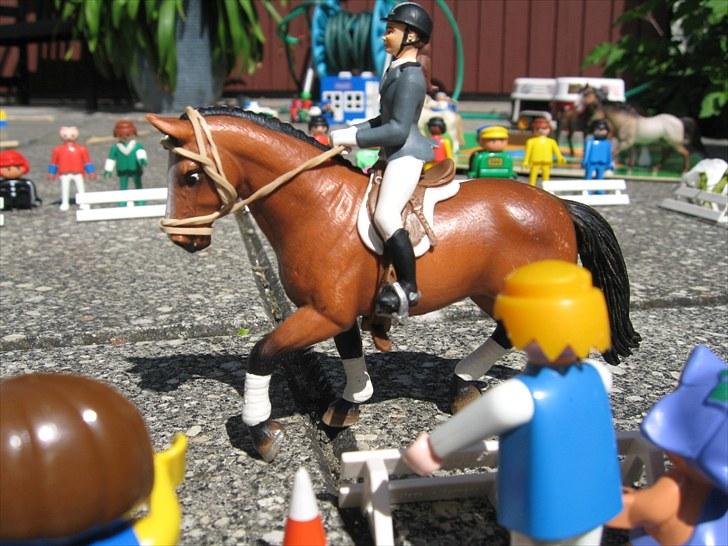 DM for Schleich heste. billede 41