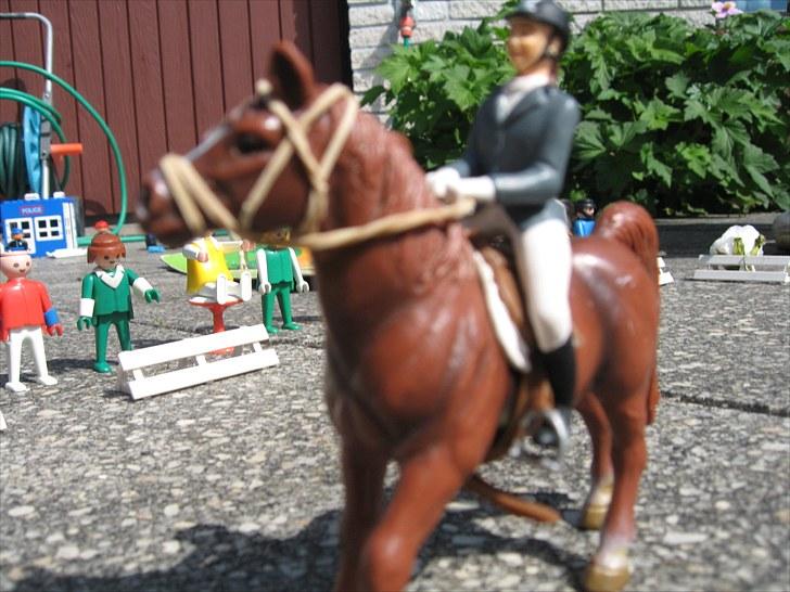 DM for Schleich heste. - Sjette rytter var Emma Gro Kloster på Trænekærs Sindy fra Trænekær Stutteri.
De fik 389 point ud af 500. billede 42