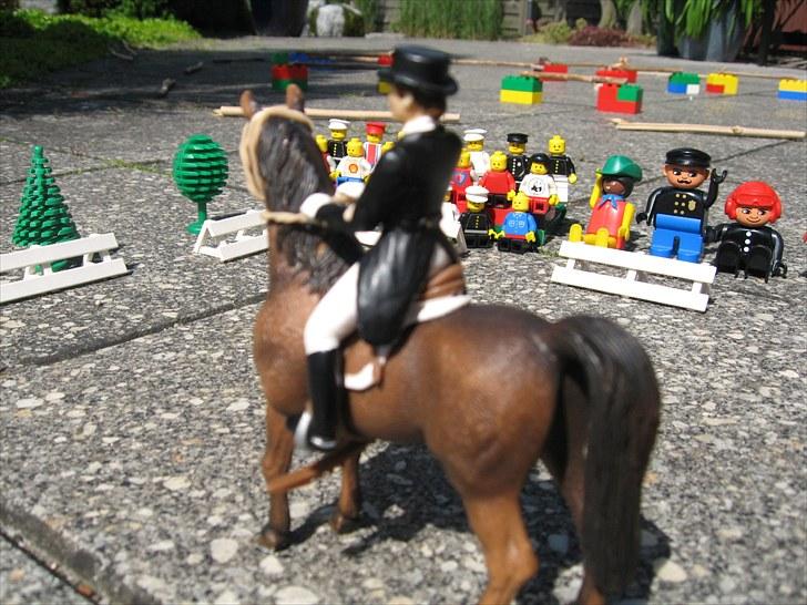 DM for Schleich heste. - Sidste rytter var Catharina på hesten Borchhøj's Abaza fra Stutteri Borchhøj.
De fik 418 point som var ligmed en anden plads billede 45