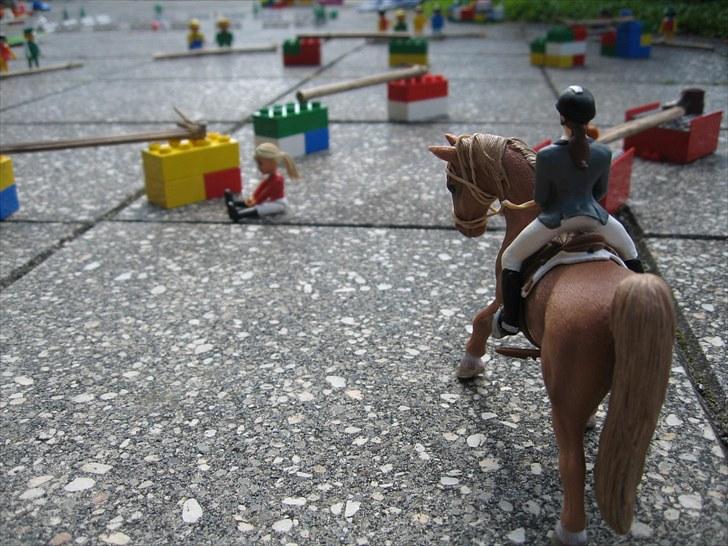 DM for Schleich heste. - Første rytter var Anika Nielsen på Surprise DiFir'. 
De red første runde med 0 fejl omspringningen med 8 fejl og i tiden 17 sek. billede 53